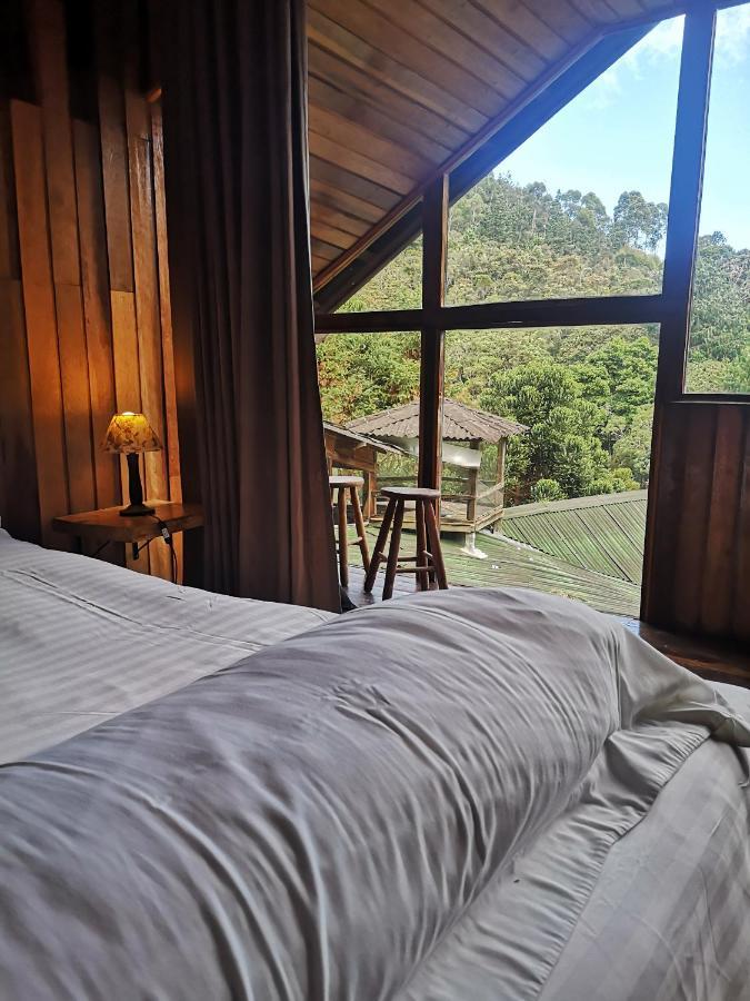 Alive Eco Hut Pousada Monte Verde  Exterior foto
