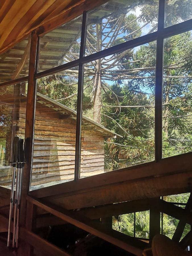 Alive Eco Hut Pousada Monte Verde  Exterior foto