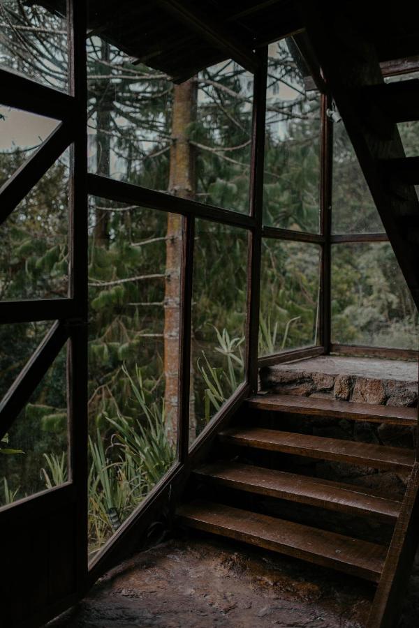 Alive Eco Hut Pousada Monte Verde  Exterior foto